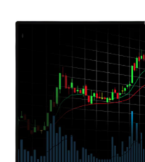 Trading Conditions